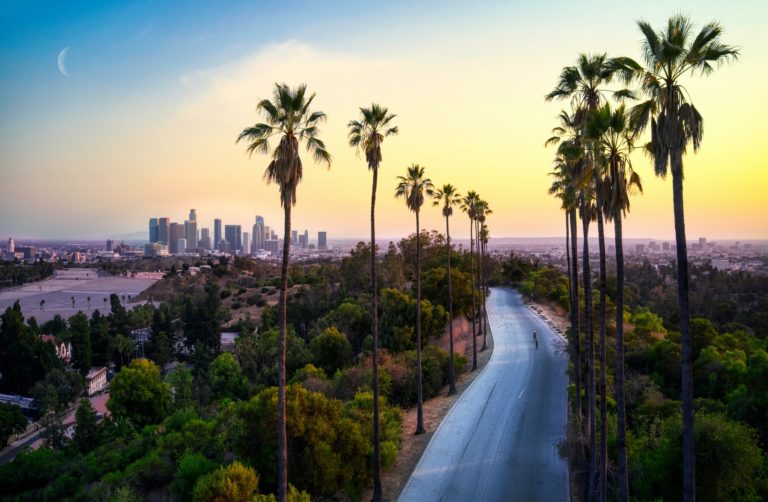 Top Rated Family Immigration Attorneys in Los Angeles